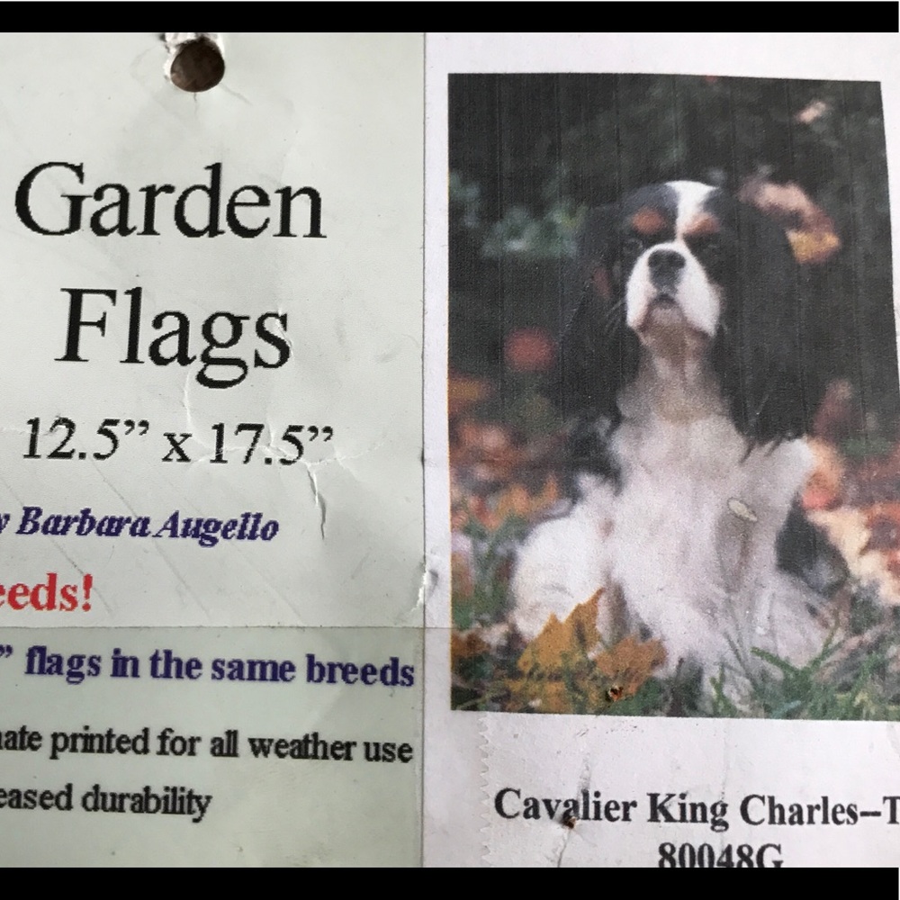 Cavalier King Charles Garden Flag